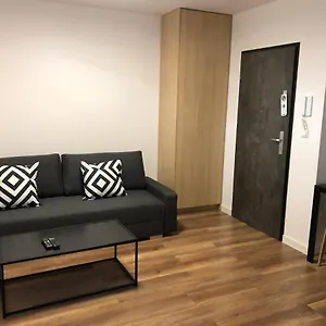 Platinex 6 Krakau